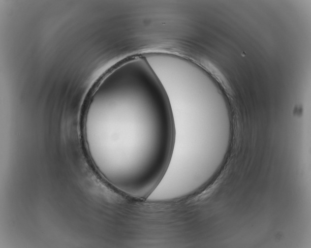 X0000089720884200706210851