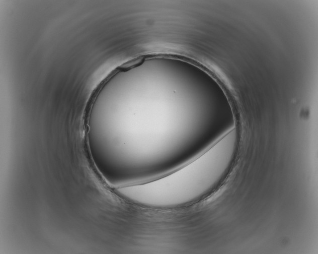 X0000089720885200706210851