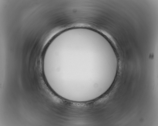X0000089720886200706210851