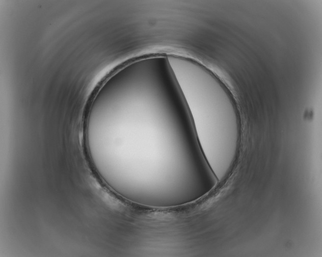 X0000089720888200706210851
