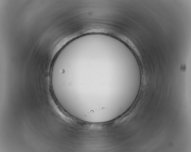 X0000089720890200706210851