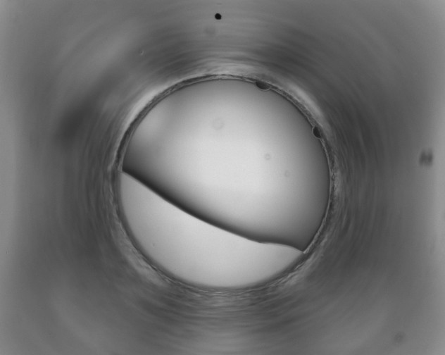 X0000089720891200706210851