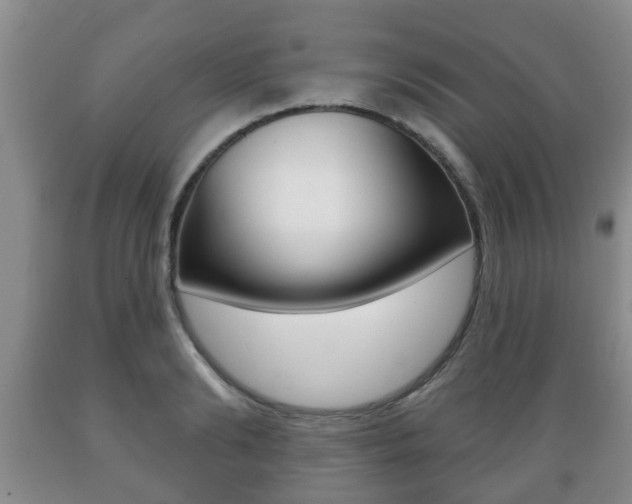 X0000089720894200706210851