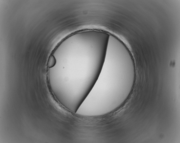 X0000089720895200706210851