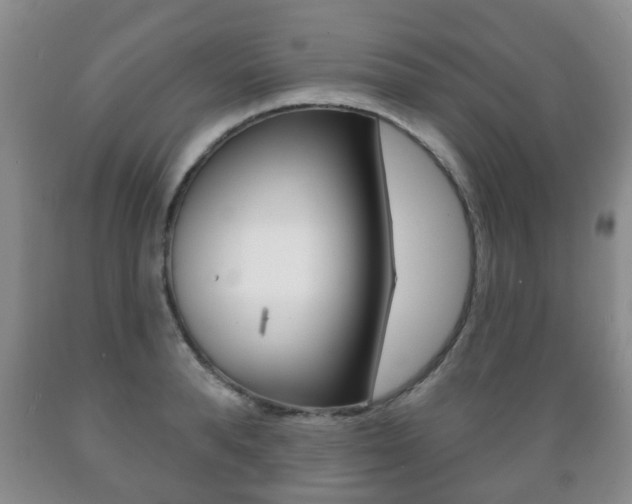 X0000089720896200706210851