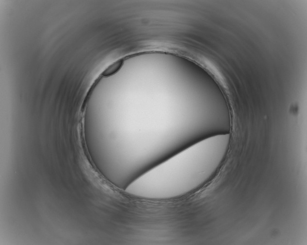 X0000089720899200706210851