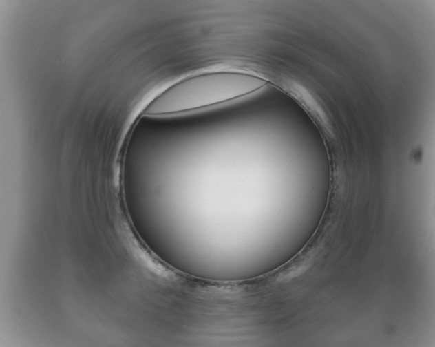 X0000089720900200706210851