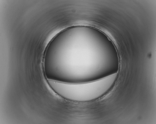 X0000089720901200706210851