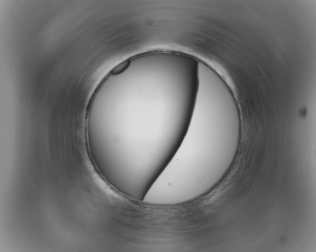 X0000089720903200706210851