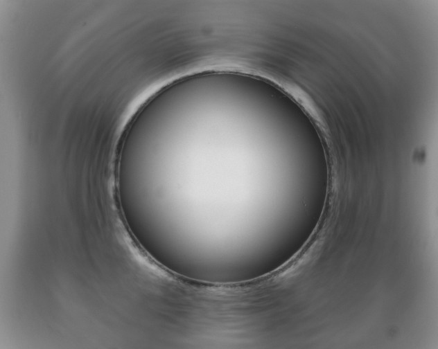 X0000089720904200706210851