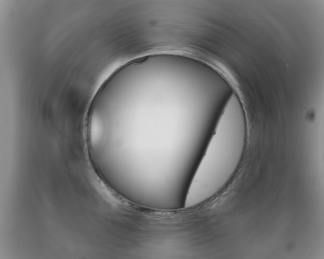 X0000089720907200706210851