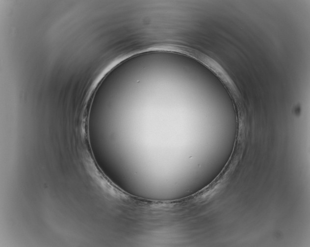 X0000089720908200706210851