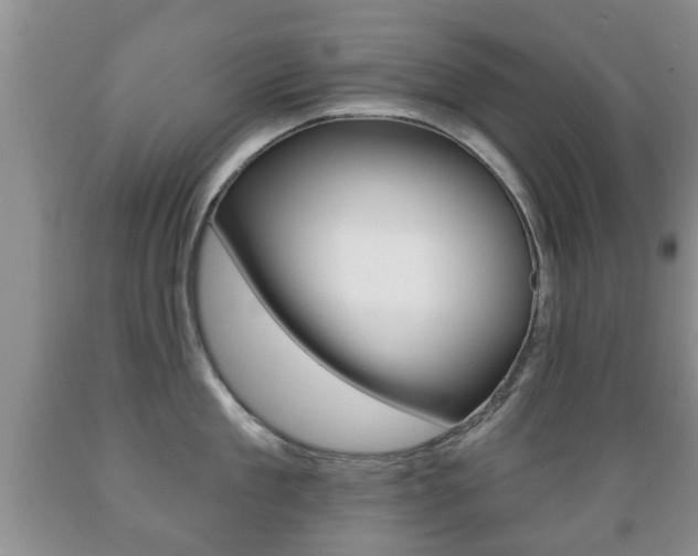X0000089720909200706210851