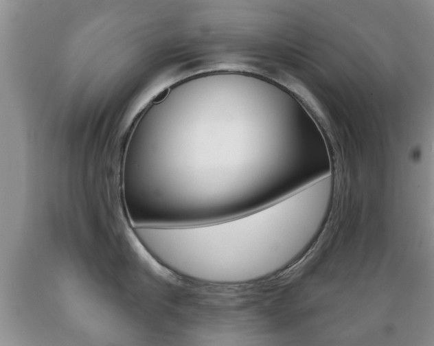X0000089720910200706210851
