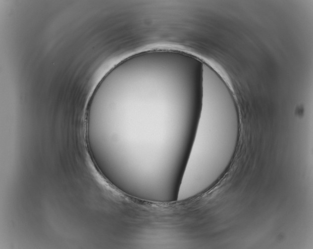 X0000089720911200706210851