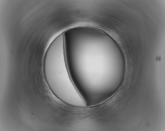 X0000089720912200706210851