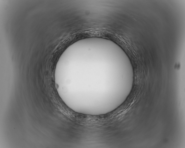 X0000089720913200706210850