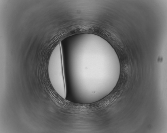 X0000089720914200706210850