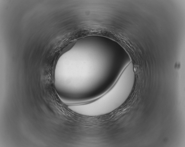 X0000089720916200706210850