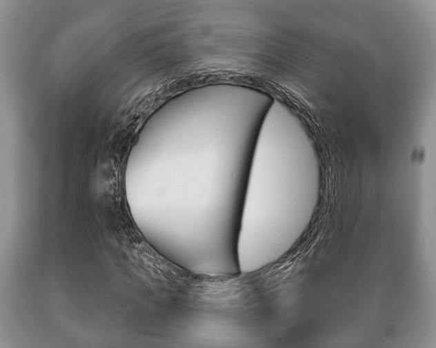 X0000089720917200706210850