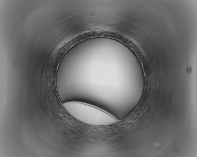 X0000089720919200706210850