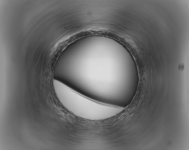 X0000089720920200706210850
