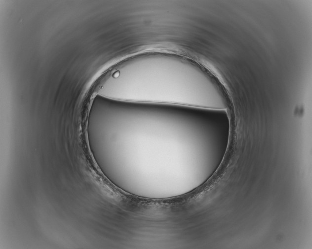 X0000089720923200706210850