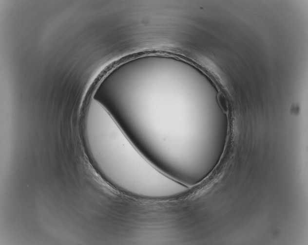 X0000089720924200706210850