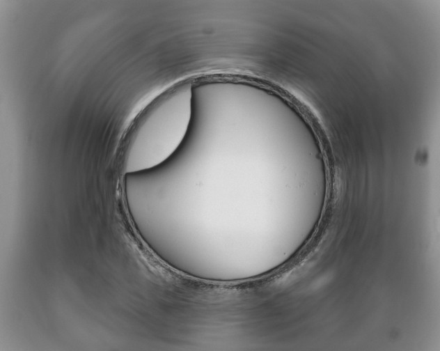 X0000089720925200706210850