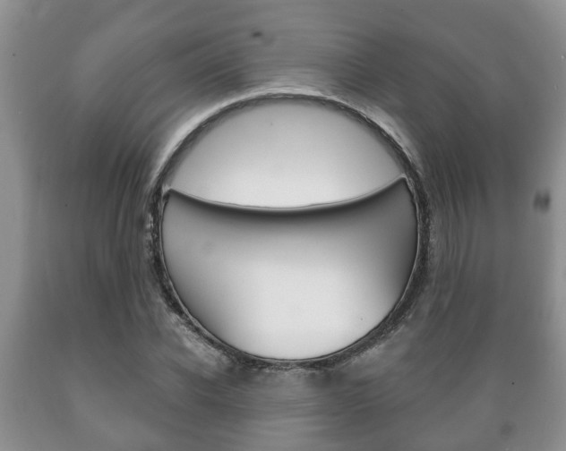 X0000089720926200706210850