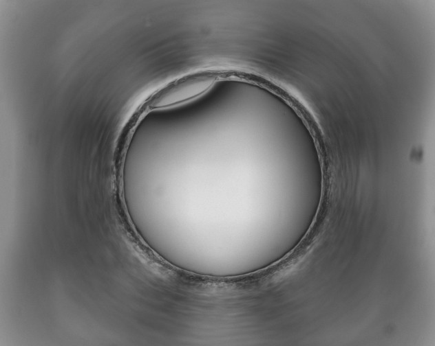X0000089720927200706210850