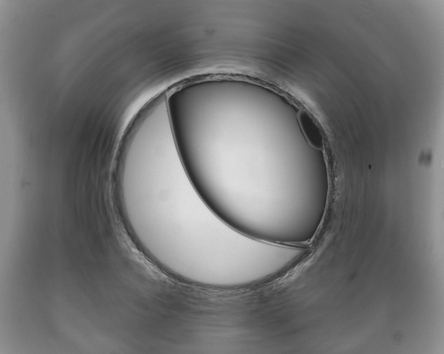 X0000089720928200706210850