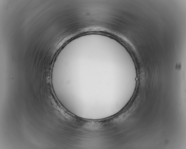 X0000089720929200706210850