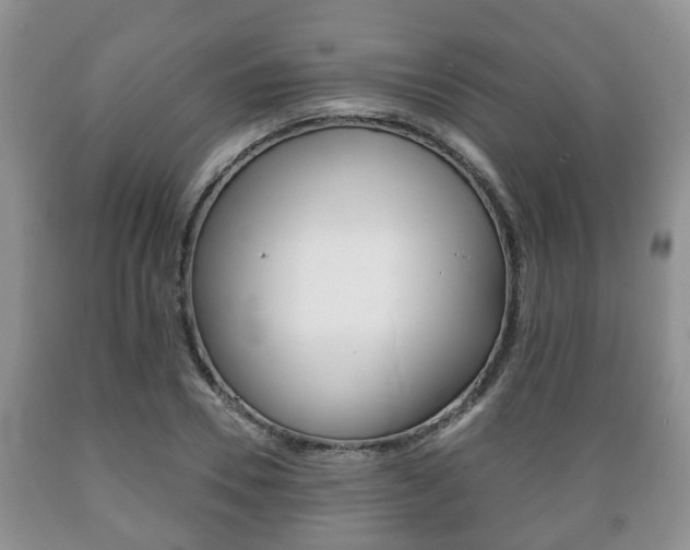 X0000089720930200706210850