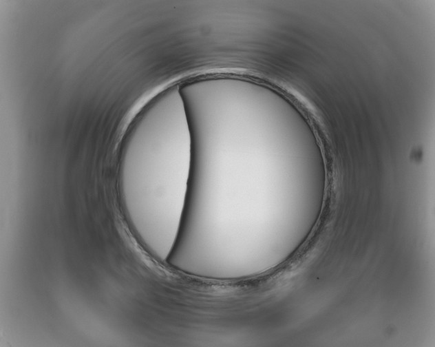X0000089720933200706210850