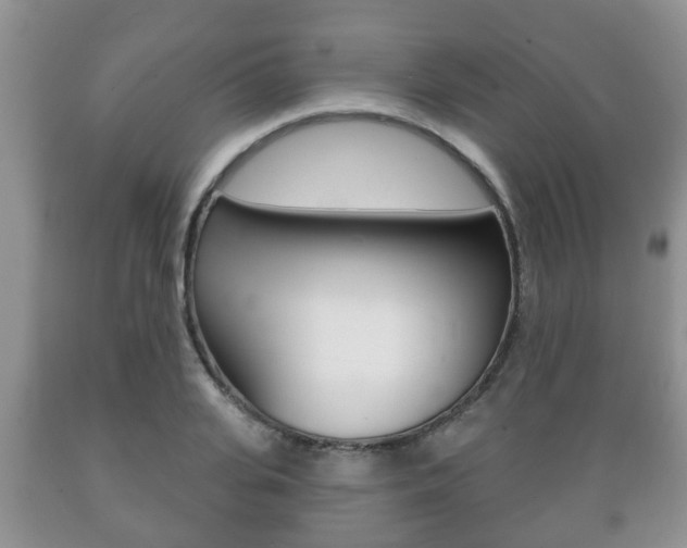 X0000089720935200706210850