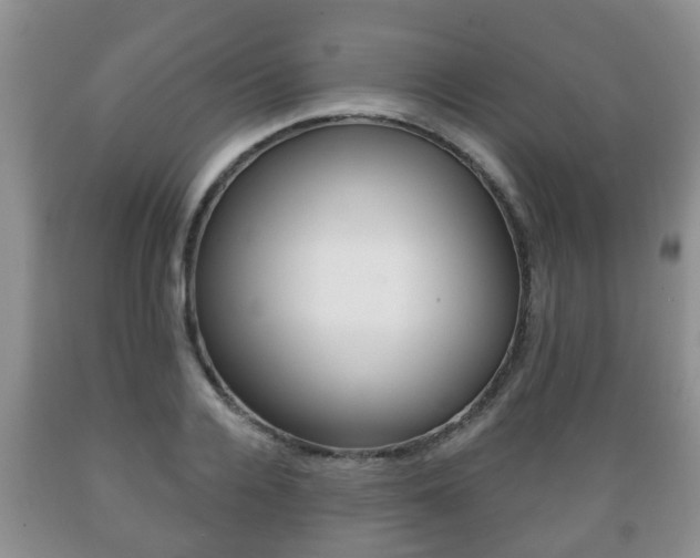 X0000089720936200706210850
