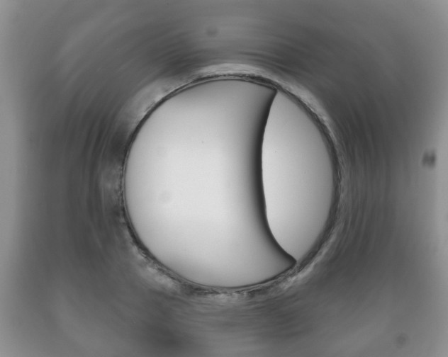 X0000089720937200706210850
