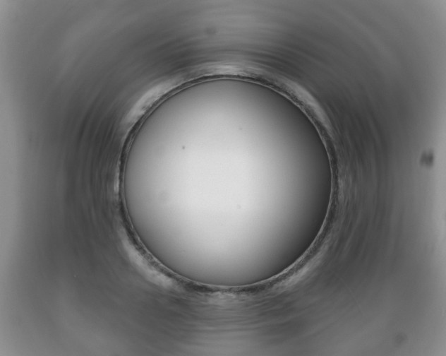 X0000089720938200706210850