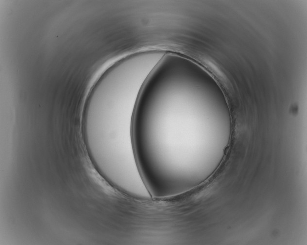 X0000089720940200706210850