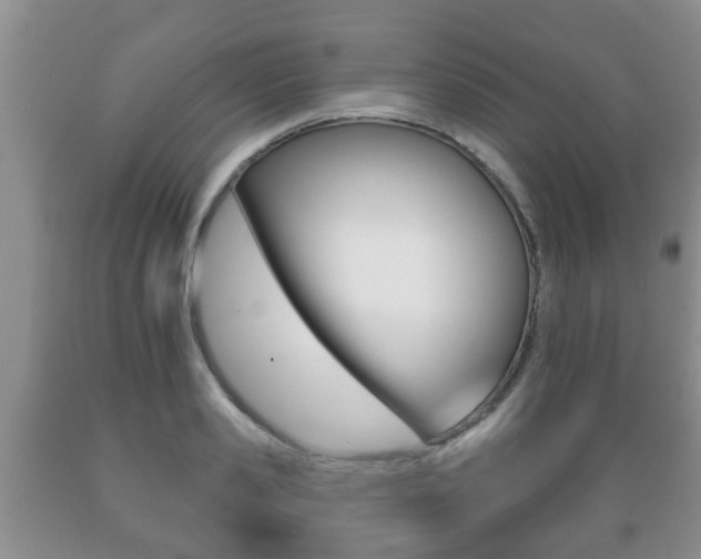X0000089720941200706210850