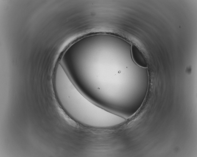 X0000089720942200706210850