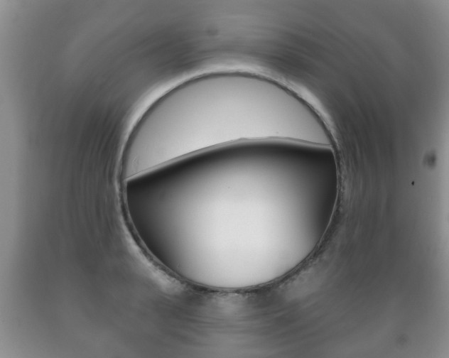 X0000089720943200706210850