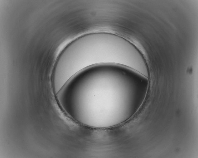 X0000089720944200706210850