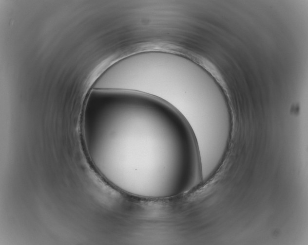 X0000089720946200706210850