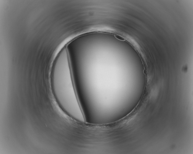 X0000089720947200706210850