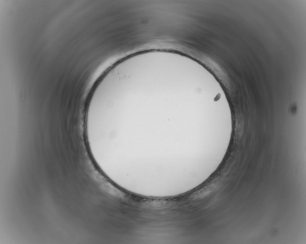 X0000089720950200706210850