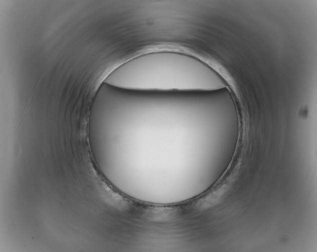 X0000089720953200706210850