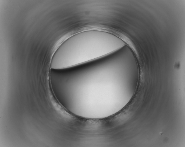 X0000089720954200706210850
