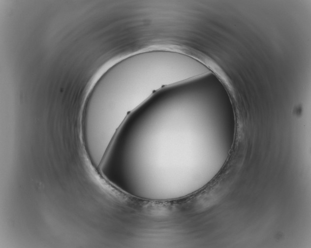 X0000089720955200706210851
